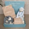 gepersonaliseerde cadeaubox kraamcadeau aap en olifant