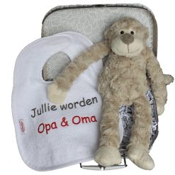 koffertje met slab jullie worden opa en oma