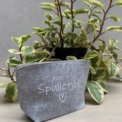 etui reserve spulletjes