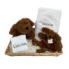 kraammand Labradoodle Larry happy horse